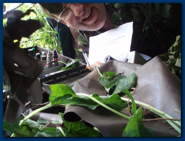 600x449 pixels (124K)